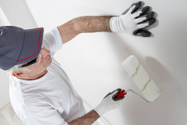 Best Drywall Sanding and Smoothing  in Whitmire, SC